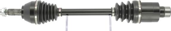 Cevam 50598 - Planetara aaoparts.ro
