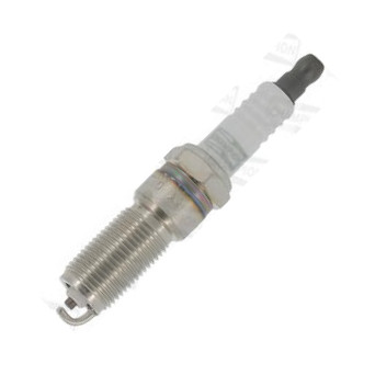 Champion OE031/T10 - Bujii aaoparts.ro