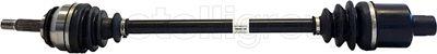 Cifam 655-638 - Planetara aaoparts.ro