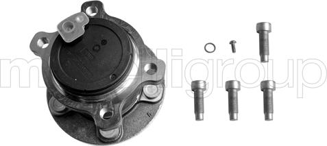 Cifam 619-2920 - Set rulment roata aaoparts.ro