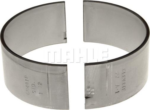 Clevite CB-481P-1 - Cuzineti biela aaoparts.ro