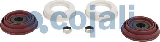 Cojali 6084032 - Set reparatie, etrier aaoparts.ro