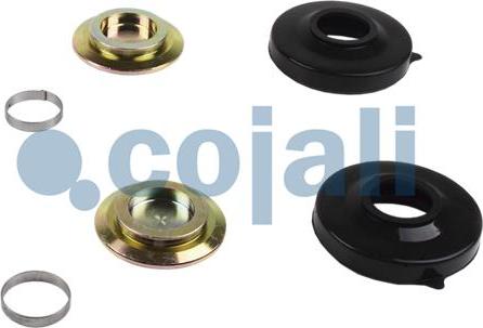 Cojali 6086038 - Set reparatie, etrier aaoparts.ro