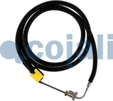 Cojali 2260881 - Senzor, temperatura gaze evacuare aaoparts.ro