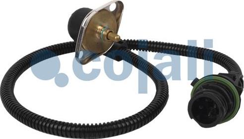 Cojali 2260252 - Senzor,presiune ulei aaoparts.ro