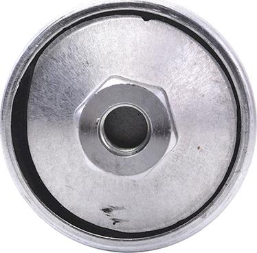 CONTINENTAL 28.0002-3045.2 - Filtru combustibil aaoparts.ro