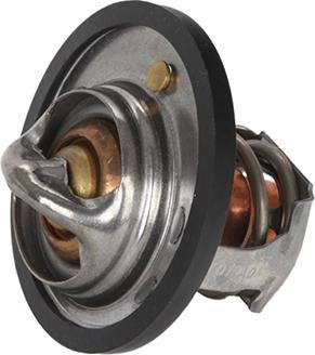 CONTINENTAL 28.0200-4116.2 - Termostat,lichid racire aaoparts.ro