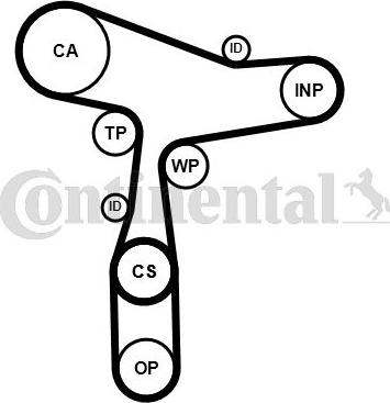 CONTINENTAL CT 1168 WP8 PRO - Set pompa apa + curea dintata aaoparts.ro