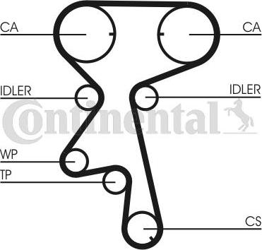 CONTITECH CT873WP1 - Set pompa apa + curea dintata aaoparts.ro