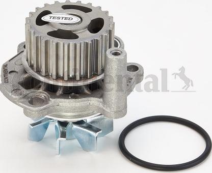 CONTINENTAL WP6041 - Pompa apa aaoparts.ro