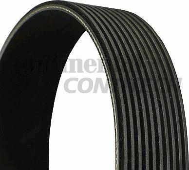 CONTINENTAL 10PK1115 - Curea transmisie cu caneluri aaoparts.ro