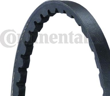 CONTINENTAL AVX10.5X970 - Curea transmisie aaoparts.ro