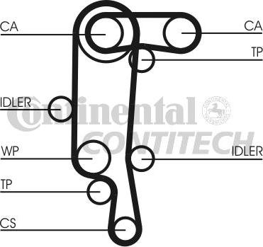 CONTINENTAL CT957WP1 - Set pompa apa + curea dintata aaoparts.ro