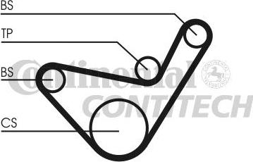 CONTINENTAL CT1107 - Curea de distributie aaoparts.ro