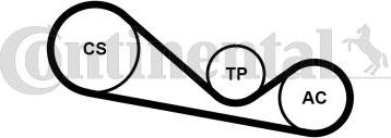 CONTITECH 4PK1237K1 - Set curea transmisie cu caneluri aaoparts.ro