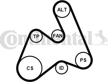 CONTITECH 5PK1592K1 - Set curea transmisie cu caneluri aaoparts.ro