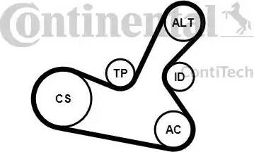 CONTINENTAL 5PK1300K1 - Set curea transmisie cu caneluri aaoparts.ro