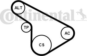 CONTITECH 5PK1212K1 - Set curea transmisie cu caneluri aaoparts.ro