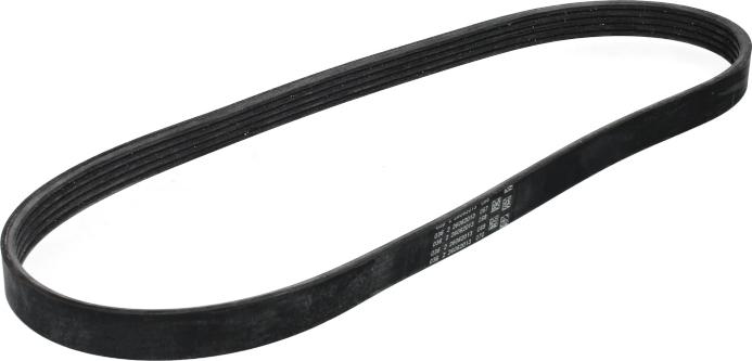 CONTINENTAL 5 PK 898 ELAST - Curea transmisie cu caneluri aaoparts.ro