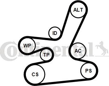 CONTITECH 6DPK1817K1 - Set curea transmisie cu caneluri aaoparts.ro