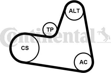 CONTITECH 6PK962K1 - Set curea transmisie cu caneluri aaoparts.ro