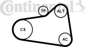 CONTITECH 6PK905 EXTRA K1 - Set curea transmisie cu caneluri aaoparts.ro