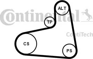 CONTINENTAL 6PK906K1 - Set curea transmisie cu caneluri aaoparts.ro