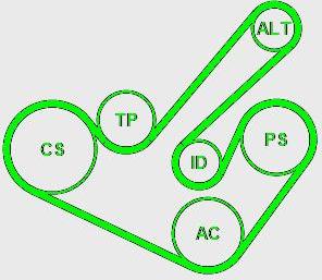 CONTITECH 6PK1555K9 - Set curea transmisie cu caneluri aaoparts.ro