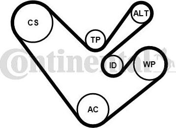 CONTITECH 6PK1555K4 - Set curea transmisie cu caneluri aaoparts.ro