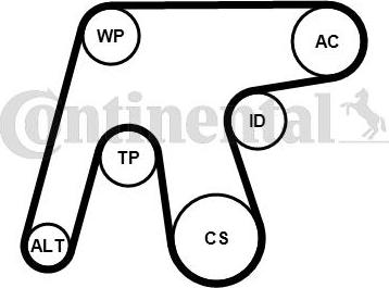 CONTITECH 6 PK 1642 K3 - Set curea transmisie cu caneluri aaoparts.ro