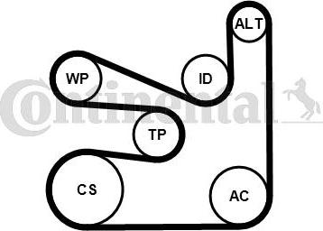 CONTITECH 6PK1660K5 - Set curea transmisie cu caneluri aaoparts.ro