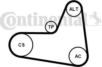 CONTITECH 6 PK 1045 K2 - Set curea transmisie cu caneluri aaoparts.ro