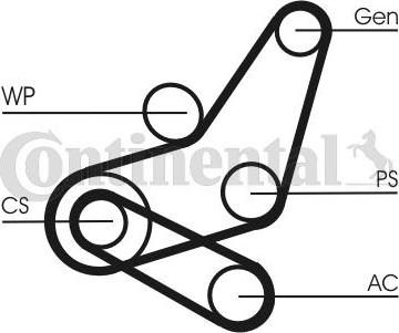 CONTITECH 6PK1059 ELAST T2 - Set curea transmisie cu caneluri aaoparts.ro