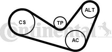 CONTITECH 6 PK 1050 K1 - Set curea transmisie cu caneluri aaoparts.ro