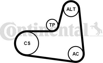 CONTITECH 6 PK 1005 K1 - Set curea transmisie cu caneluri aaoparts.ro