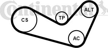 CONTINENTAL 6 PK 1080 K1 - Set curea transmisie cu caneluri aaoparts.ro