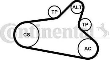 CONTITECH 6PK1020 EXTRA K1 - Set curea transmisie cu caneluri aaoparts.ro