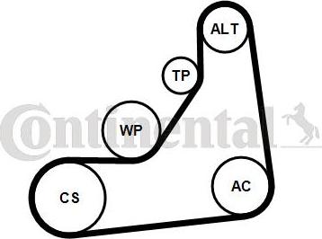 CONTITECH 6PK1153K5 - Set curea transmisie cu caneluri aaoparts.ro
