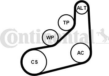 CONTITECH 6PK1157 EXTRA K1 - Set curea transmisie cu caneluri aaoparts.ro