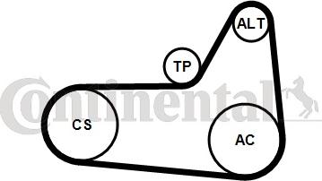 CONTINENTAL 6 PK 1180 K4 - Set curea transmisie cu caneluri aaoparts.ro