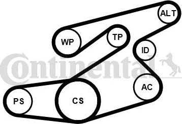 CONTITECH 6PK1836K1 - Set curea transmisie cu caneluri aaoparts.ro