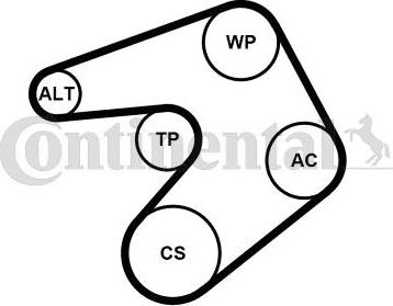 CONTITECH 6PK1244K1 - Set curea transmisie cu caneluri aaoparts.ro