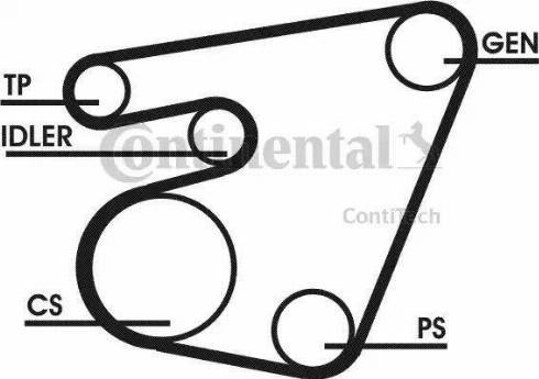 CONTINENTAL 6PK1715D1 - Set curea transmisie cu caneluri aaoparts.ro
