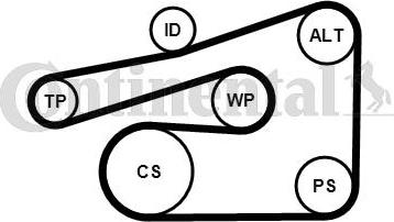 CONTINENTAL 6PK1733K4 - Set curea transmisie cu caneluri aaoparts.ro