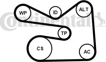 CONTITECH 6PK1733K3 - Set curea transmisie cu caneluri aaoparts.ro