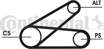 CONTINENTAL 6PK873 ELAST T1 - Set curea transmisie cu caneluri aaoparts.ro