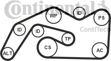 CONTITECH 6 PK 2490 K1 - Set curea transmisie cu caneluri aaoparts.ro