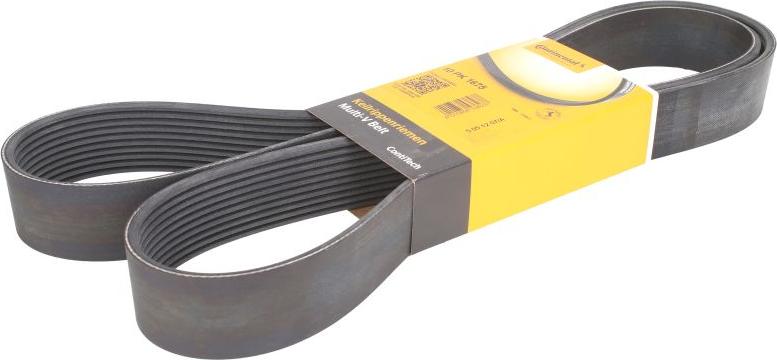 CONTINENTAL 10 PK 1675 - Curea transmisie cu caneluri aaoparts.ro