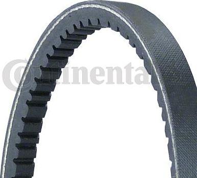 CONTINENTAL 11,0X528Ld - Curea transmisie aaoparts.ro