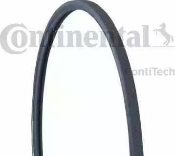 CONTINENTAL 2PJ905 - Curea transmisie cu caneluri aaoparts.ro